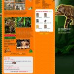 jaguar9